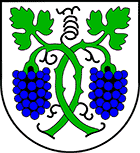 Wappen Jenins